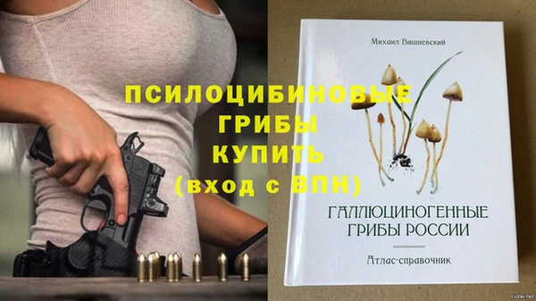 прущий лед Аркадак
