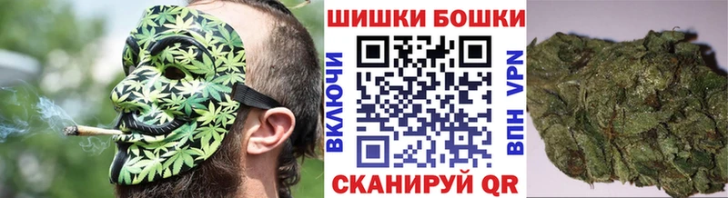 Бошки Шишки семена  Сосновоборск 